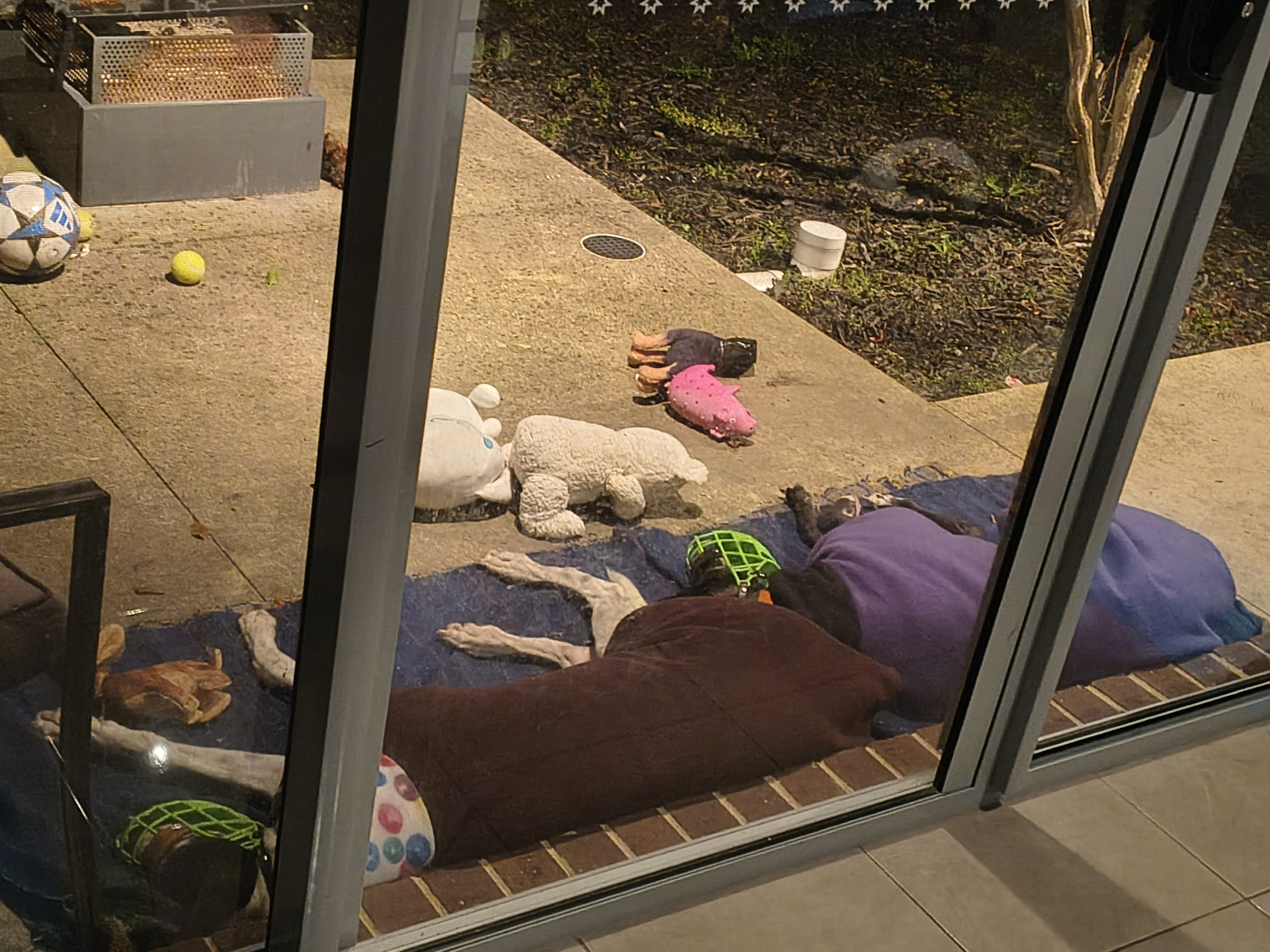 Spyro and Salma sleeping together