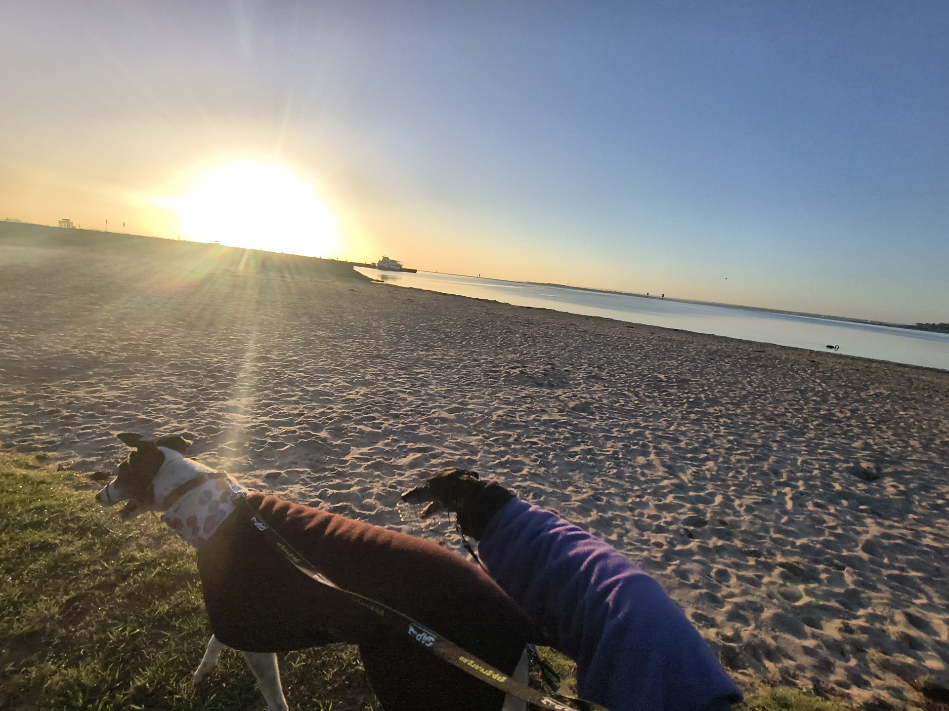 Spyro and Salma on a beach walk