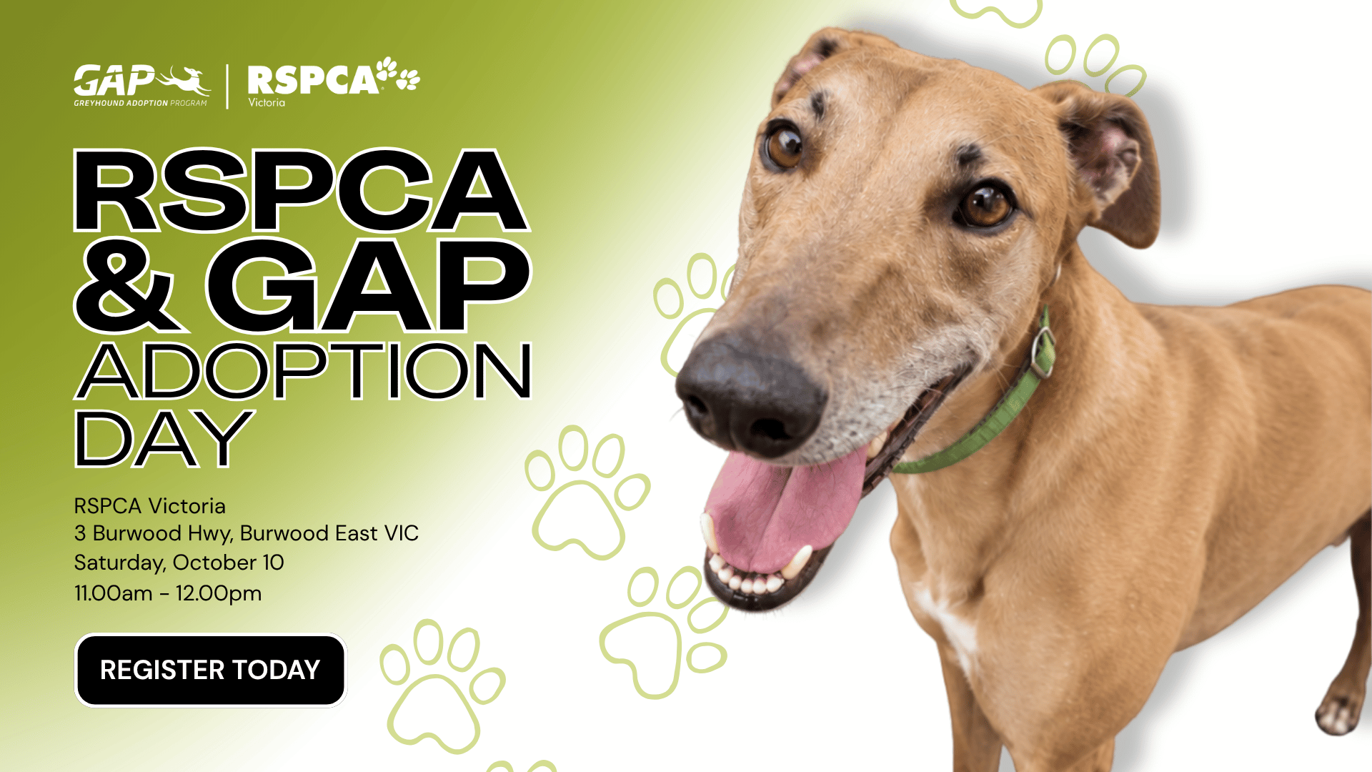 RSPCA & GAP Adoption Day