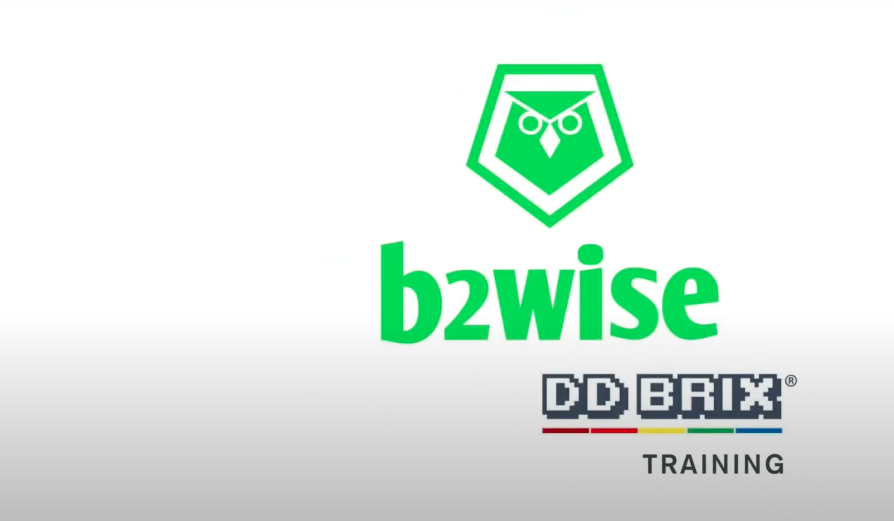 Global Transformation: The DDBRIX Workshop Experience with b2wise