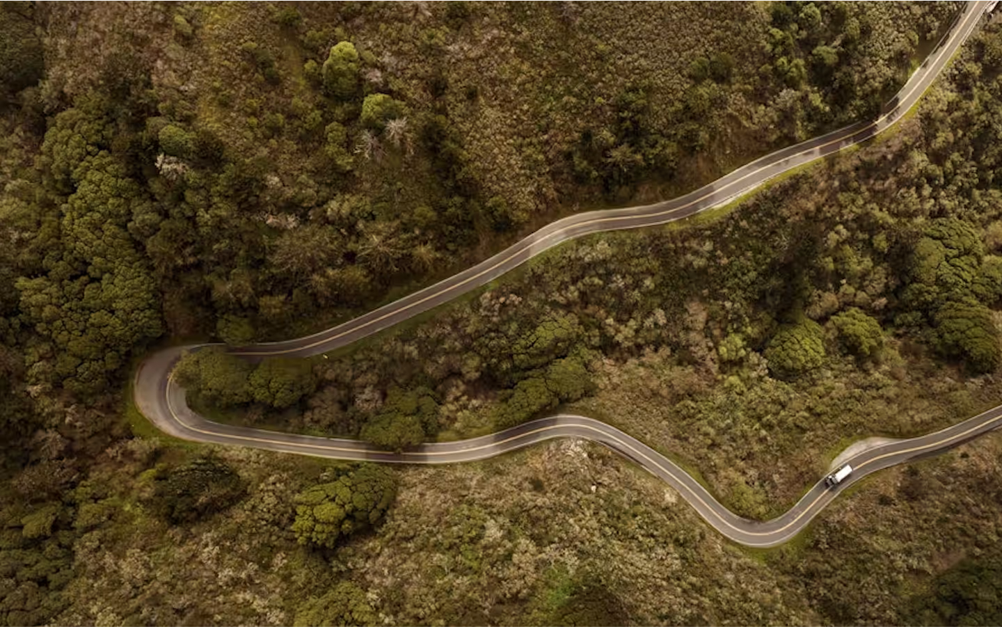 A road going through a forest landscape seen from above.
