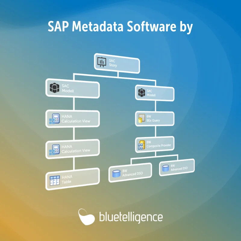 Infografik mit der SAP Metadata Software von Bluetelligence.