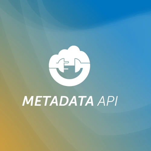 Wolken- und Stecker-Symbol mit Text METADATA API vor blau-gelbem Hintergrund.