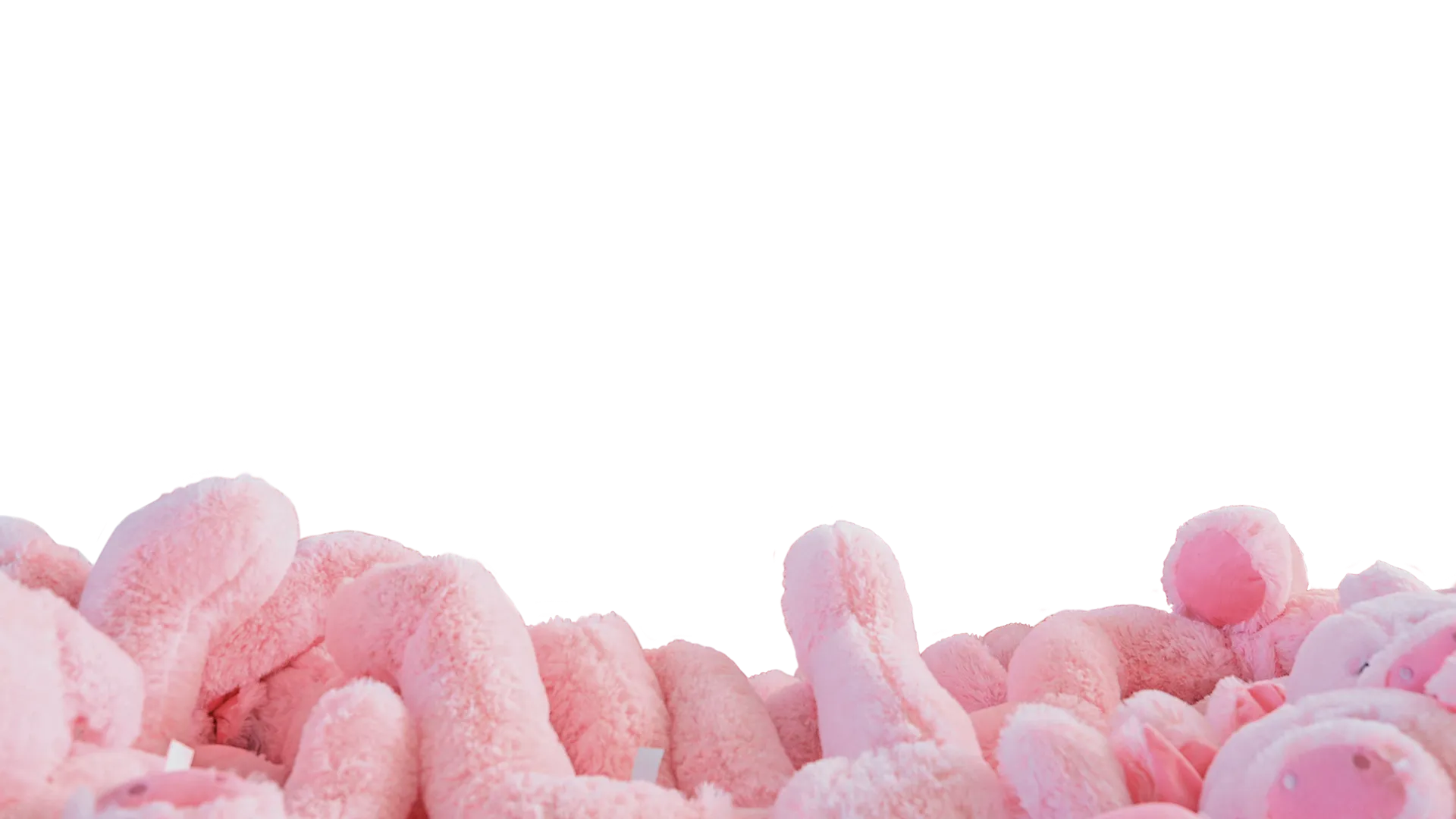 Pink plush toys lined up on a white background.