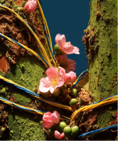 Glowing yellow light beams weave like electrical currents through textured, green, bark-like branches blooming with delicate pink flowers.