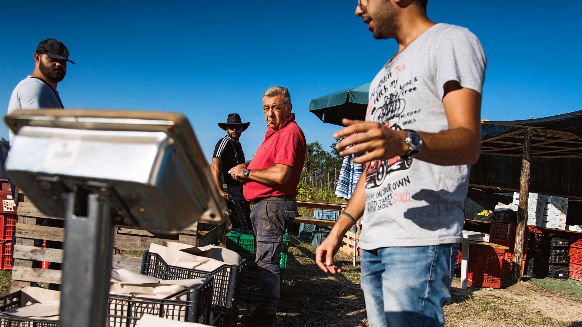 Landarbeiter sortieren und wiegen frisch geerntete Ernteprodukte an einer Freiluft-Sortierstation.