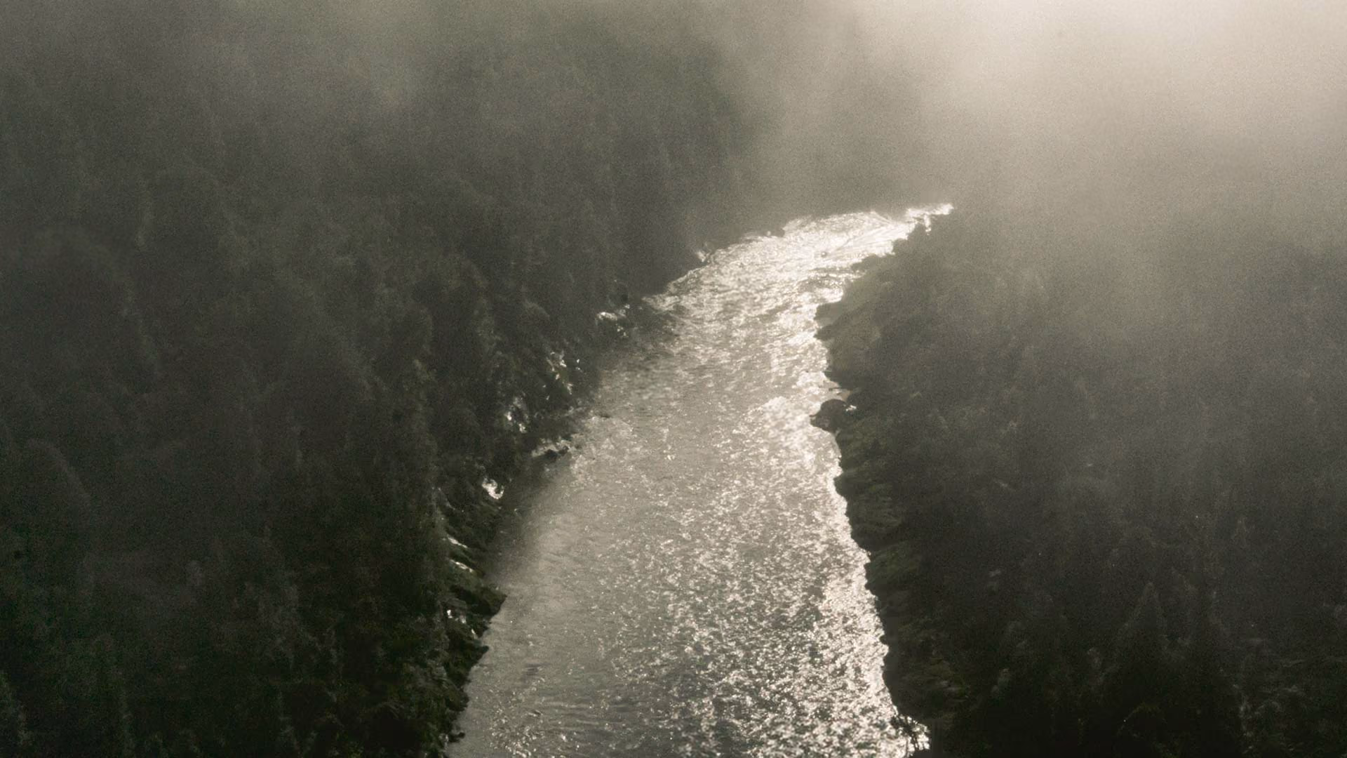 Luftaufnahme des Whanganui River, der sich durch nebelverhangene, bewaldete Hügel in Neuseeland schlängelt.