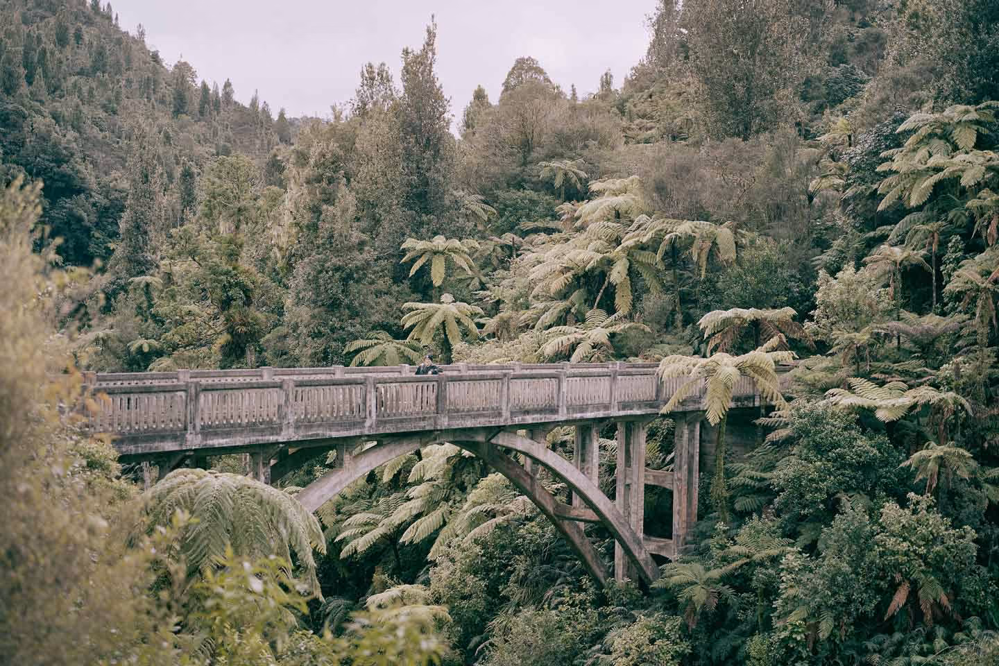Eine verwitterte Betonbrücke überspannt einen üppigen Farnwald in Neuseeland – Sinnbild für das Naturerbe der Region.
