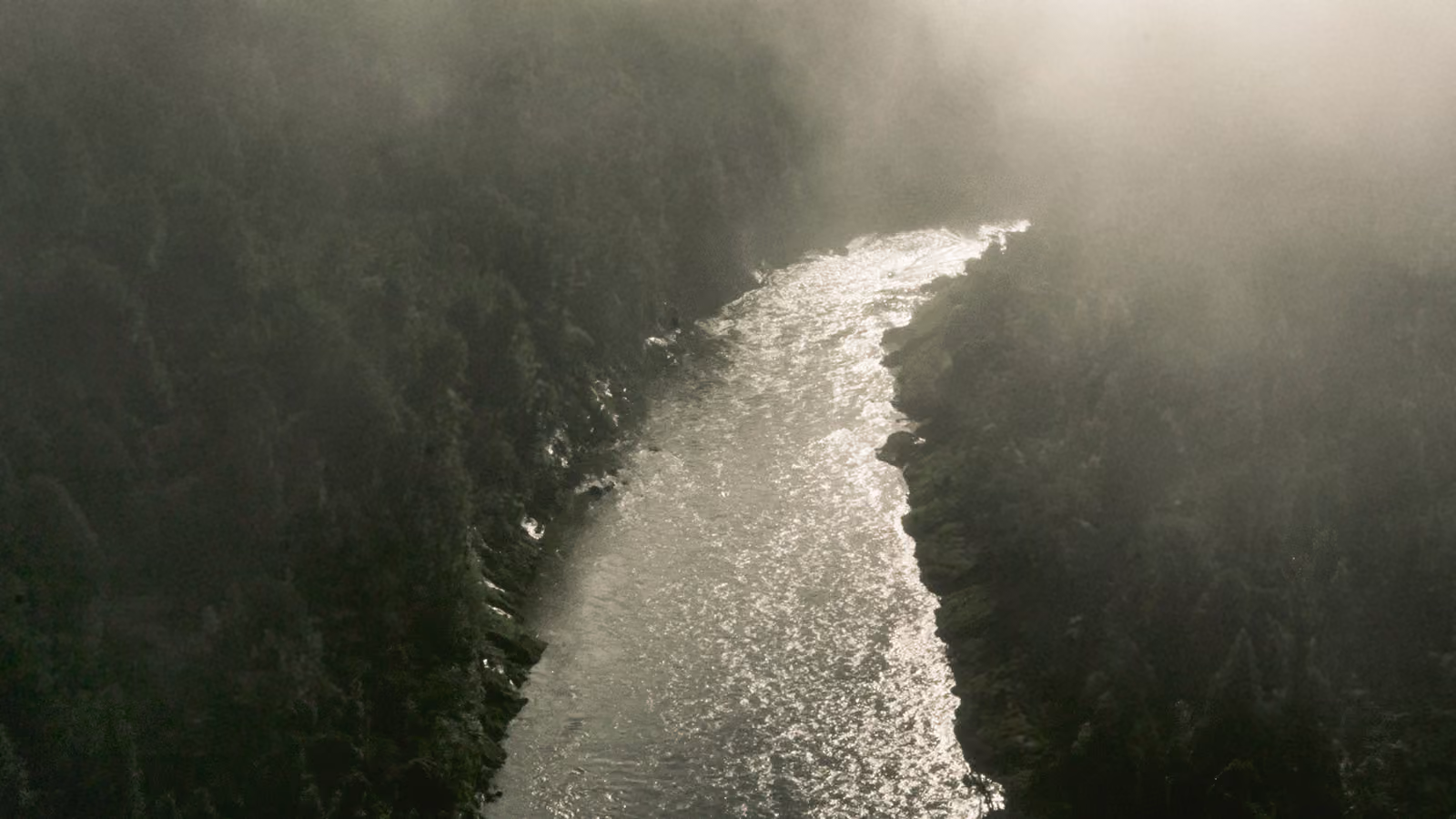 Luftaufnahme des Whanganui River, der sich durch nebelverhangene, bewaldete Hügel in Neuseeland schlängelt.