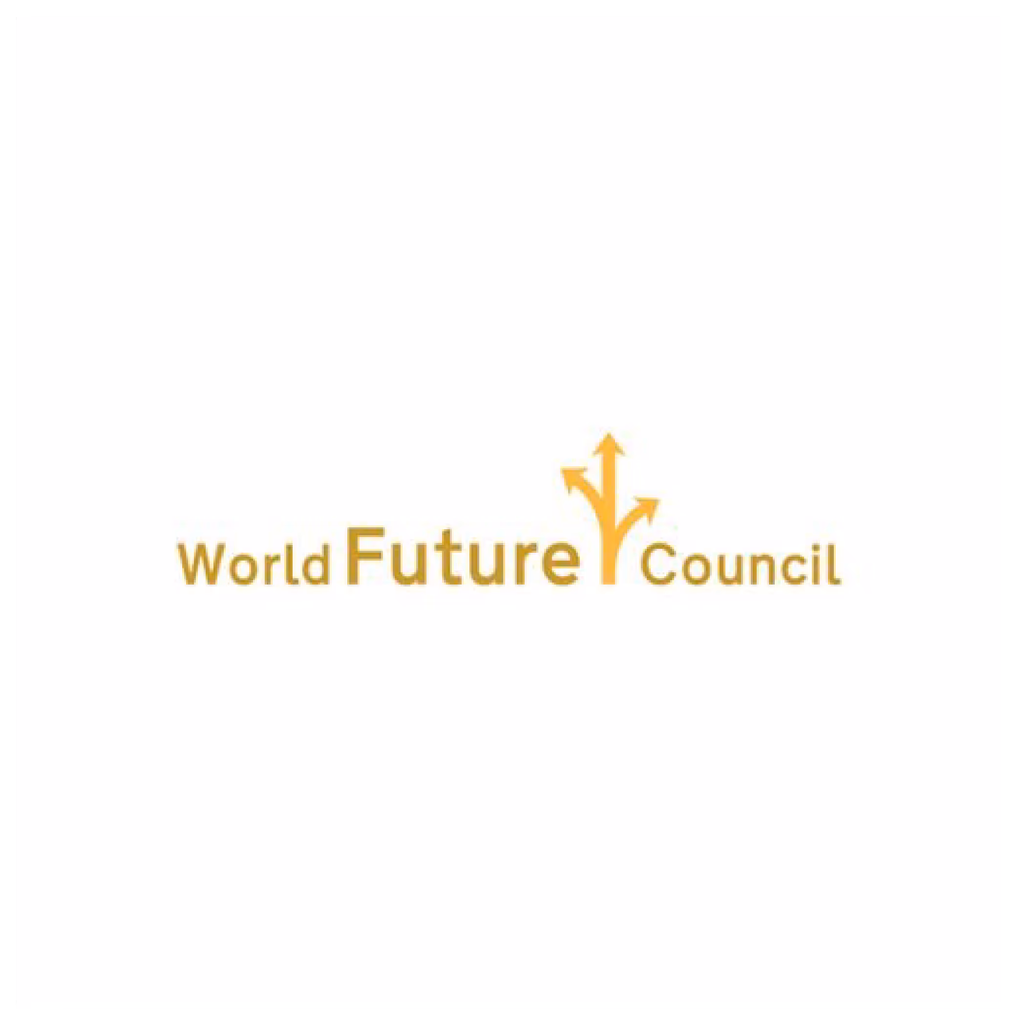 World Future Council 