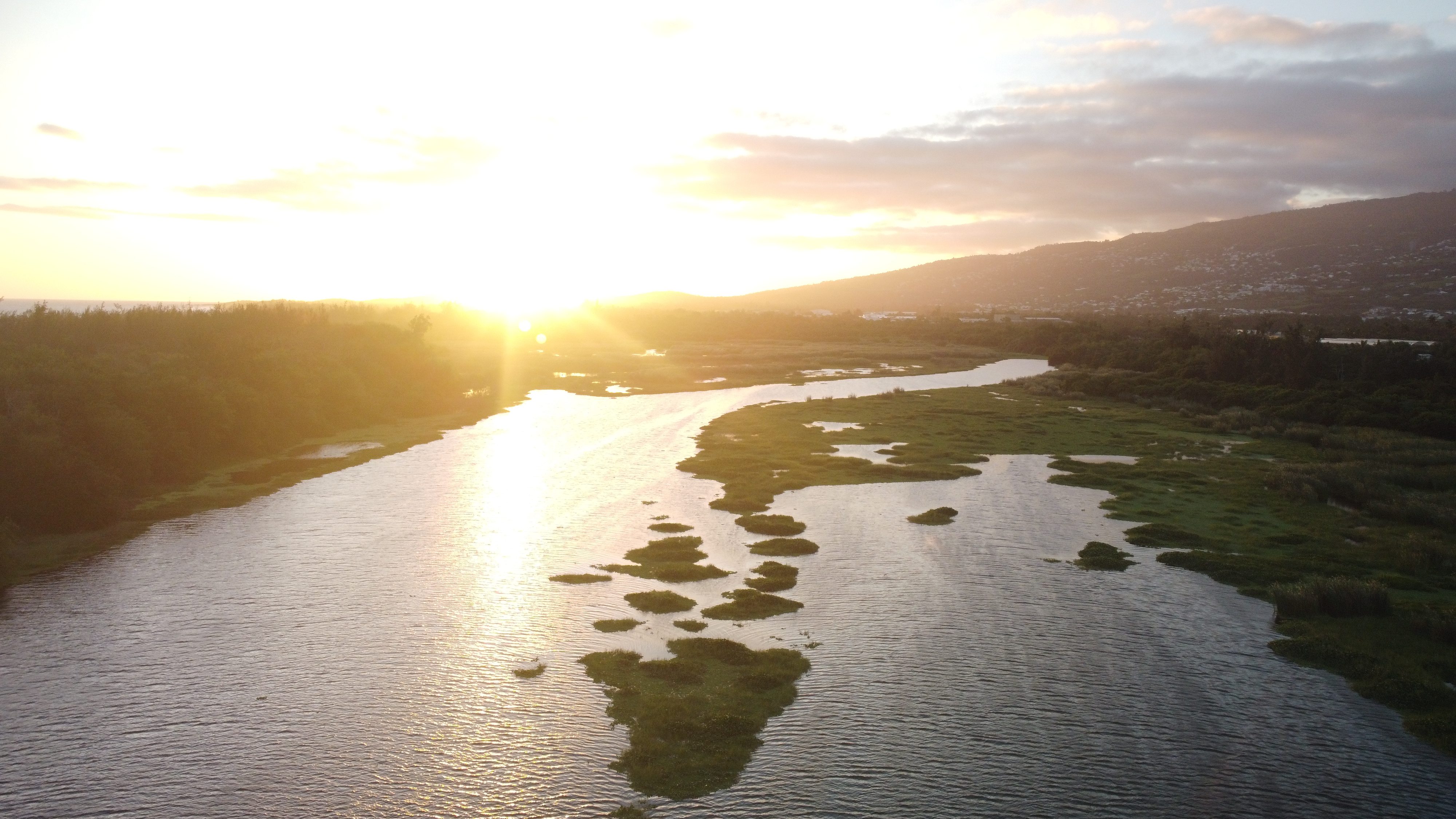 Trésors naturels de l’île