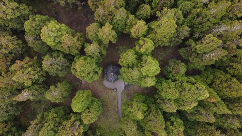 Des vidéos percutantes pour marquer les esprits