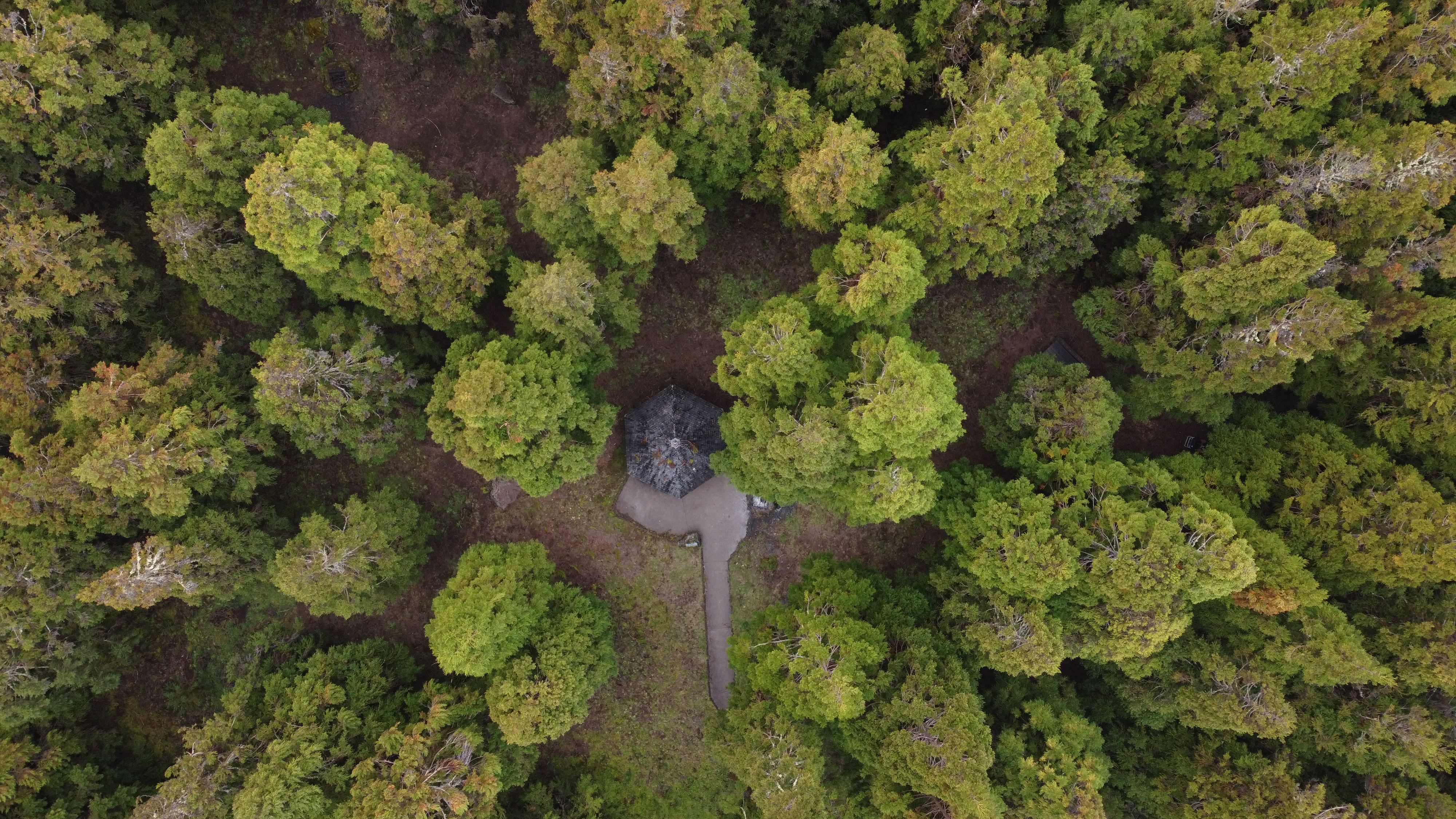 Des vidéos percutantes pour marquer les esprits