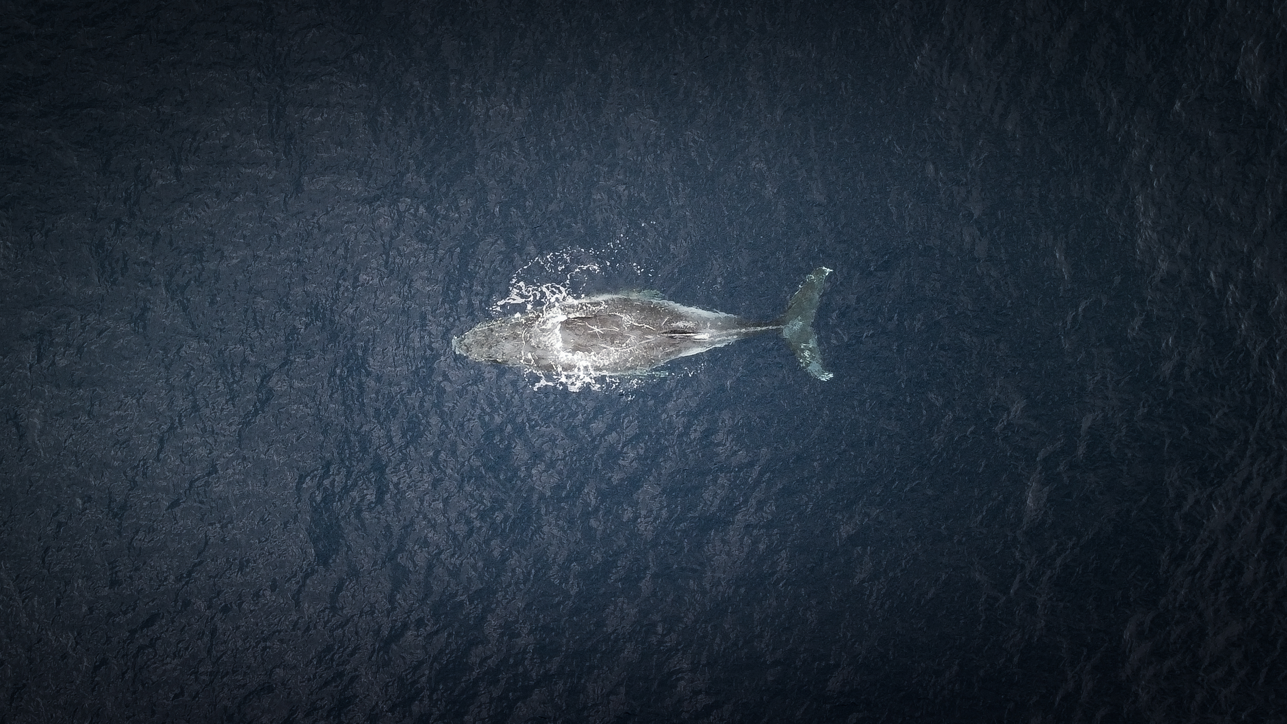 Trésors naturels de l’île