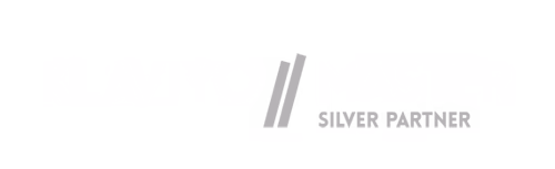 Klaviyo silver master