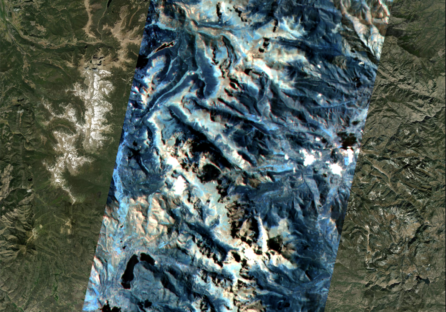 The Hyperspectral Imagery for Forestry 