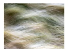 Abstrakt suddig bild med mjuka, flödande gröna, vita och bruna nyanser.