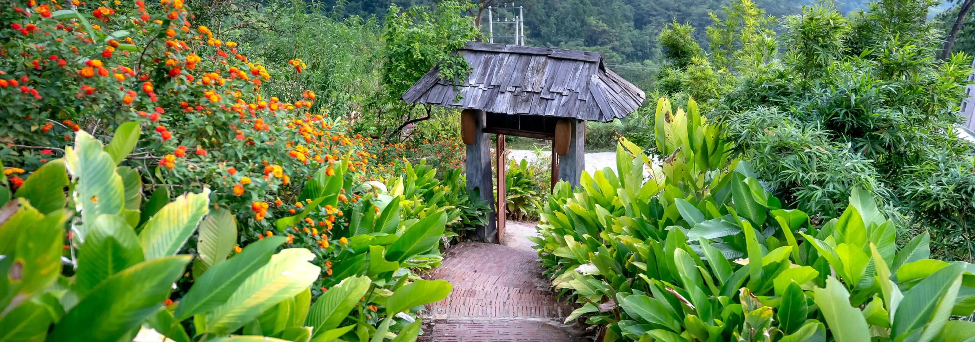 Brick pathway lined with lush green plants and orange flowers leading to a wooden gate with a weathered roof.