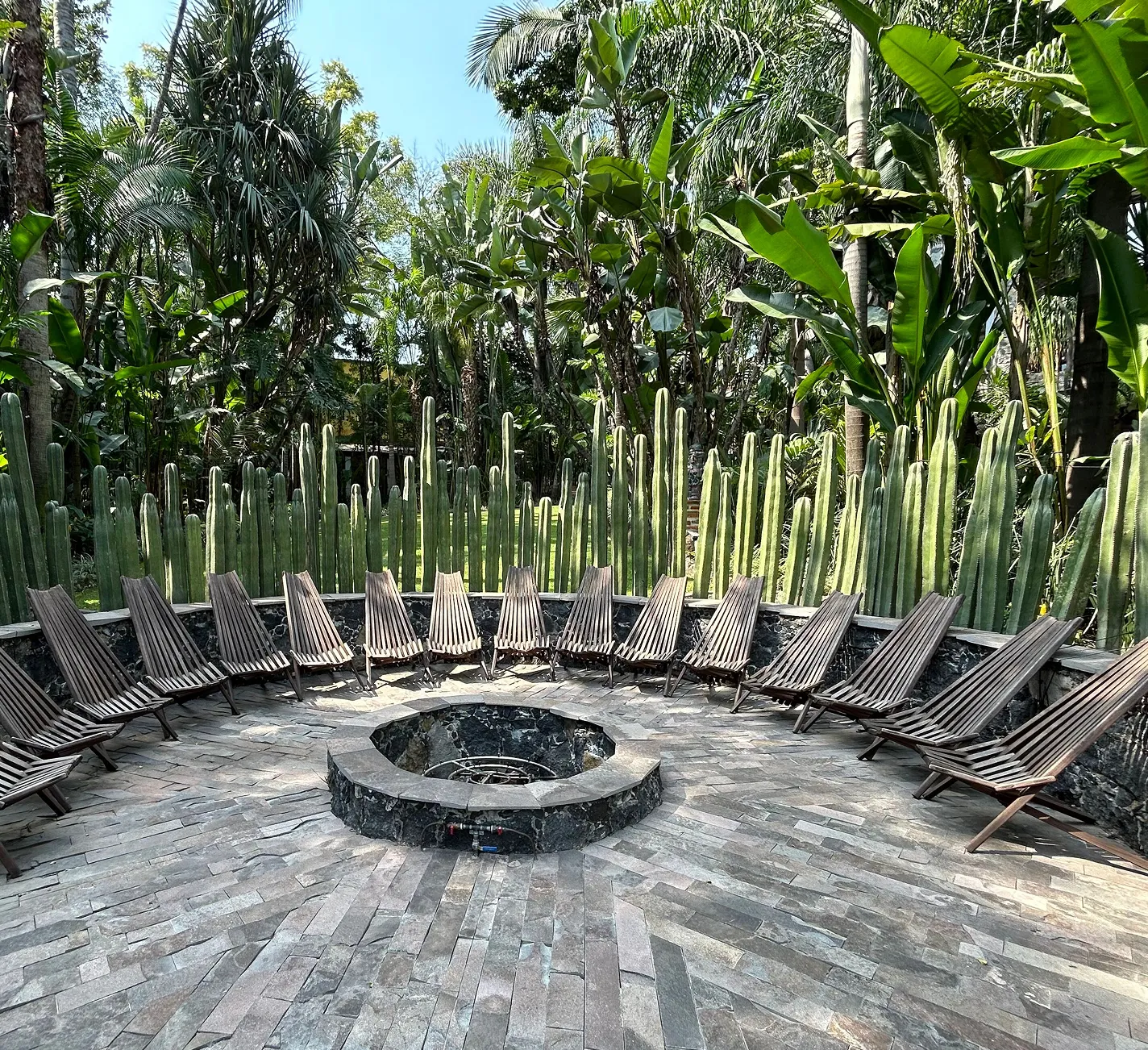Circular outdoor seating area with wooden chairs surrounding a central stone fire pit, backed by tall cacti and tropical trees.