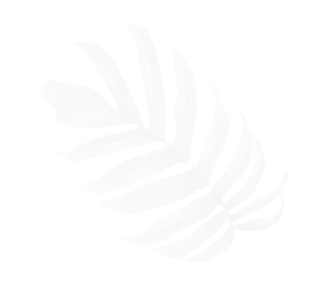 Green palm leaf illustration with overlapping shades and shadow details.