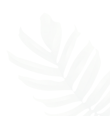 Illustration of a green palm leaf with multiple leaflets on a transparent background.