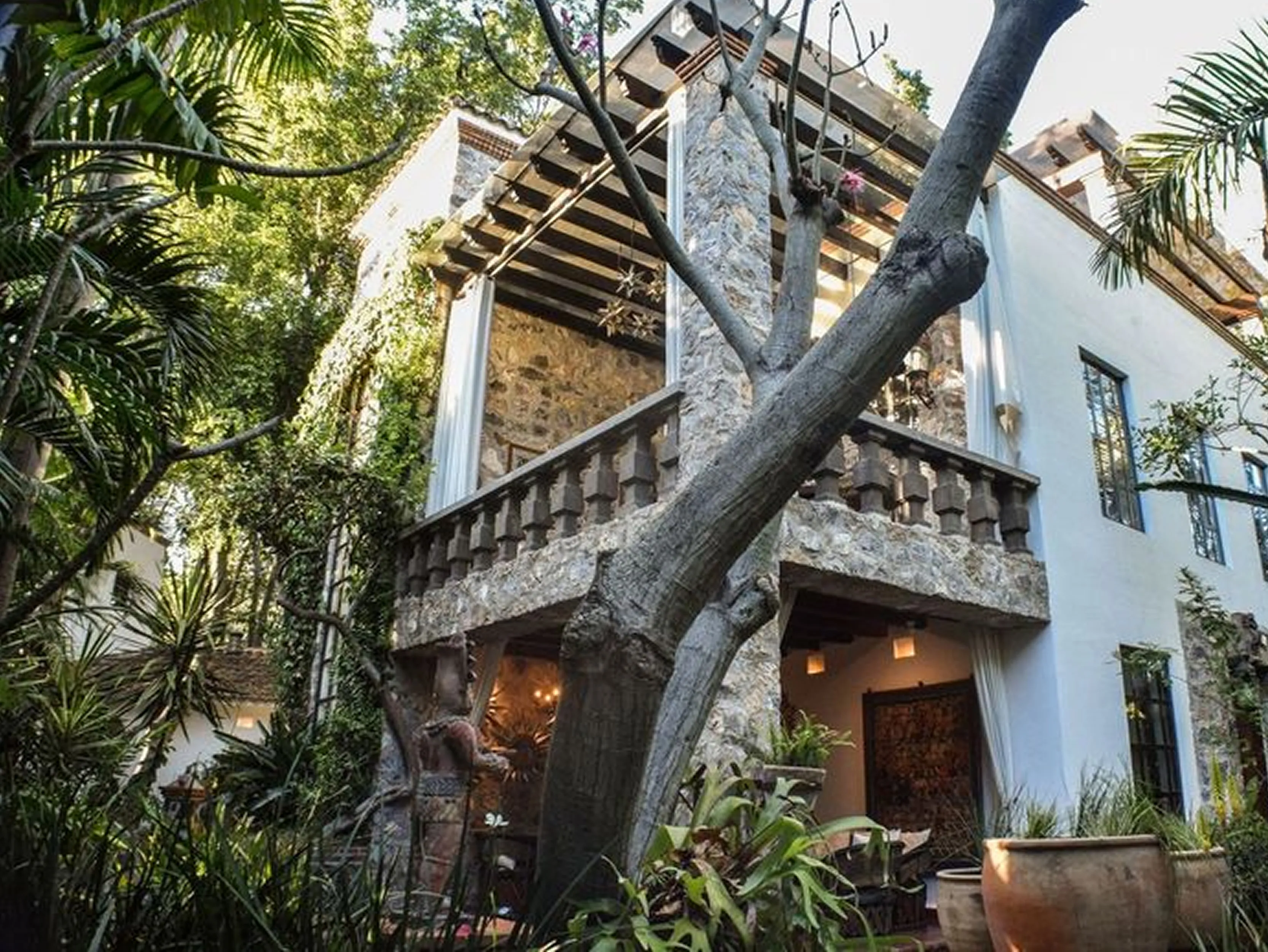 Stone and white stucco house with a large tree trunk in the foreground and lush greenery surrounding the entrance and balcony.
