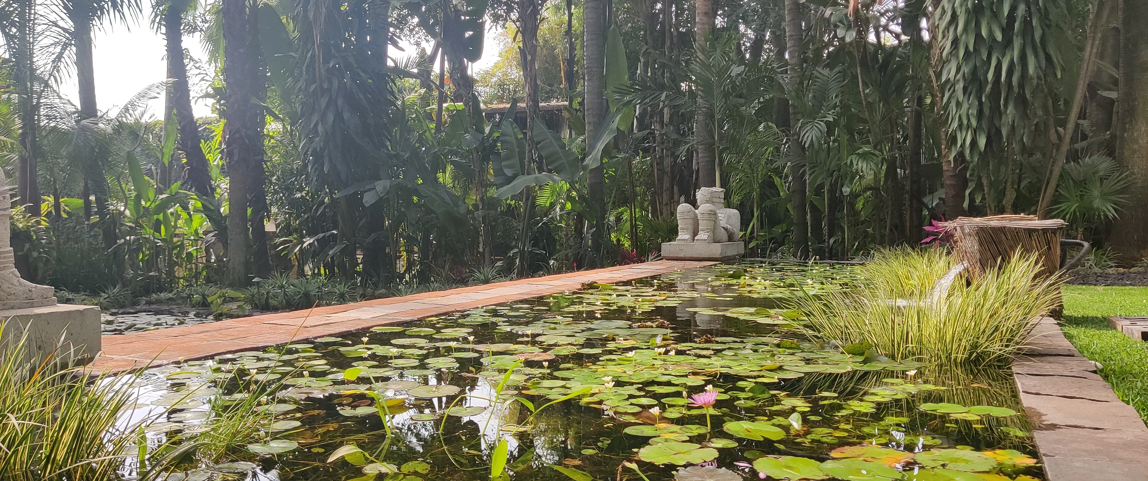 Rectangular pond filled with lily pads and flowers surrounded by tropical plants and trees with a water fountain on the right side.