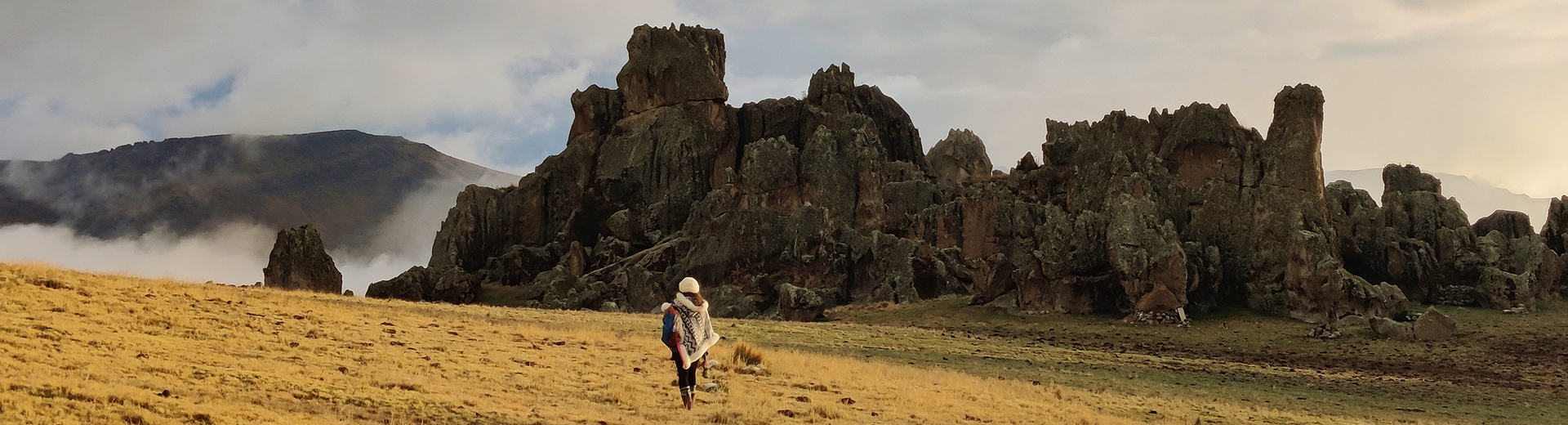 Smiling woman sitting in front of large tree roots surrounded by green foliage in a forest.