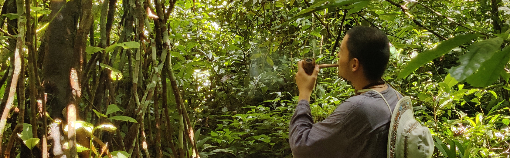 Person smoking a pipe while standing in dense green forest foliage.