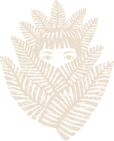 Illustration of a pair of eyes and eyebrows peeking out from behind overlapping beige palm leaves.