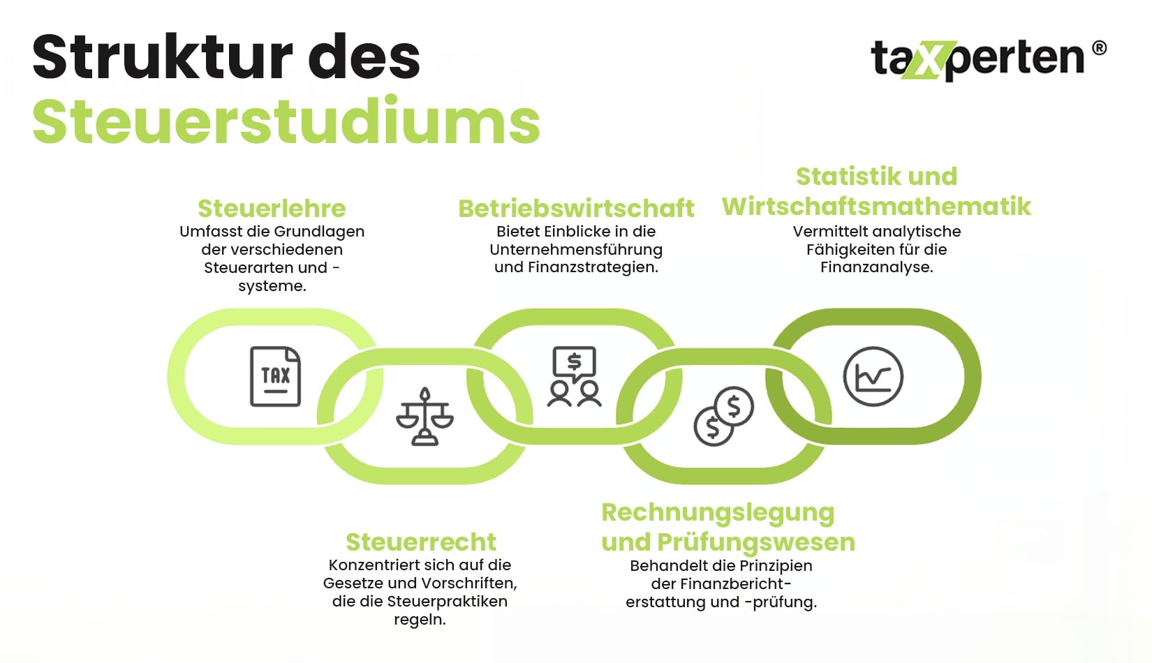 Infografik zur Struktur des Steuerstudiums in Deutschland mit zentralen Fächern wie Steuerrecht, BWL und Rechnungswesen.