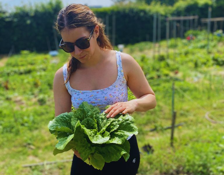 Frische Ernte direkt aus dem Garten: Frau mit Salatkopf bei der Gemüseernte – regional, saisonal und nachhaltig angebaut.