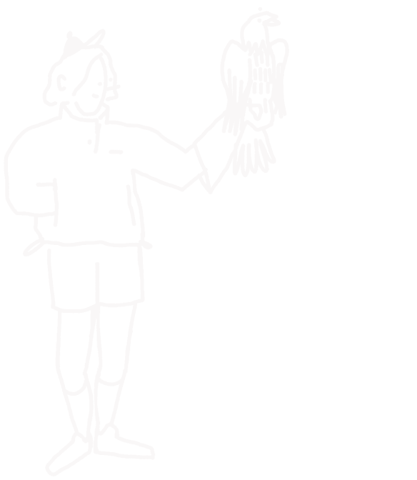 Line drawing of a person holding a falcon on their gloved arm.