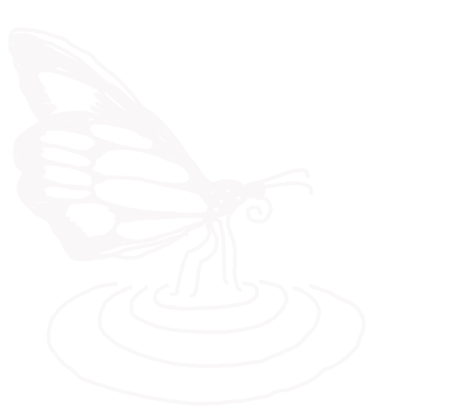 Line drawing of a butterfly landing on water, with concentric ripples moving outwards.