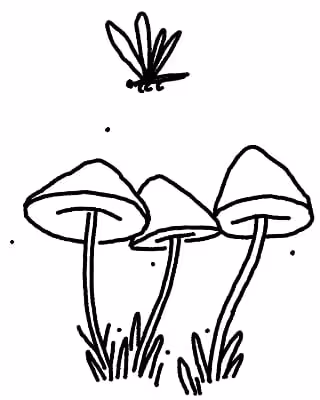 Line drawing of three mushrooms with grass at their bases and a small flying insect above them.
