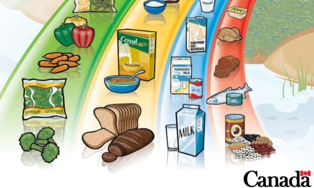 2007-canada-food-guide