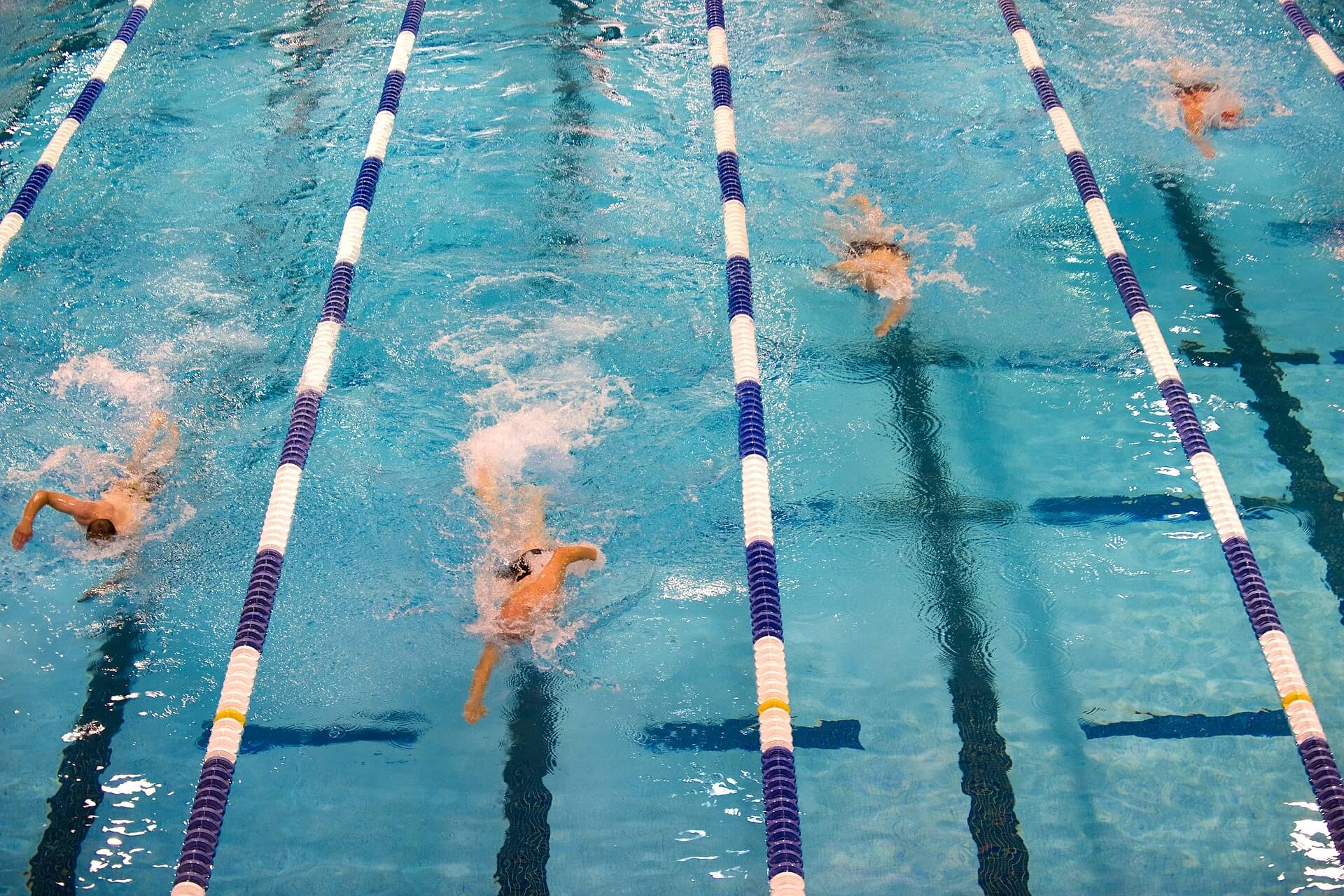 Swimmers racing toward the finish line in a race that was organized by sports club software. 