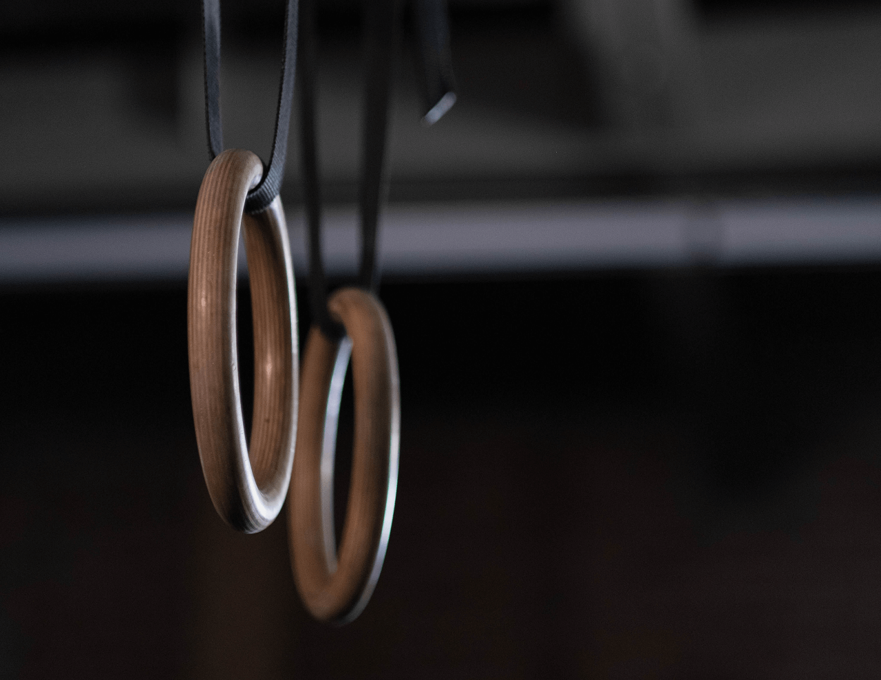 Rings hanging in an empty gym. 