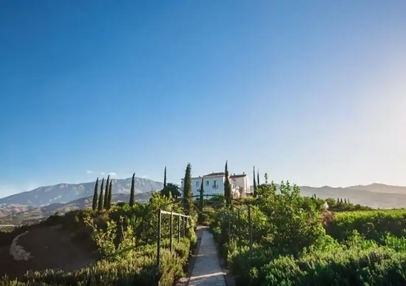 Bbou Cortijo Bravo España