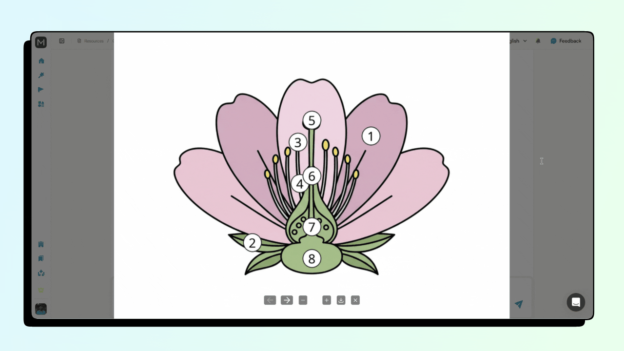 AI Kindergarten Worksheet Generated by Monsha - Label the Picture Worksheet