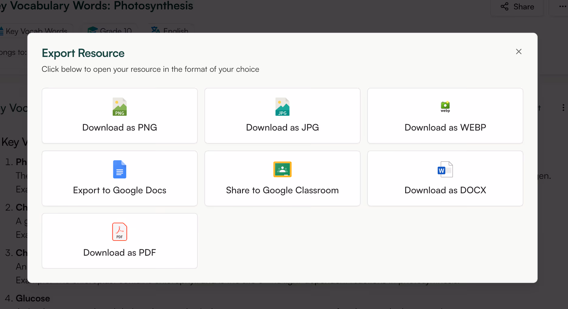 export options in Monsha
