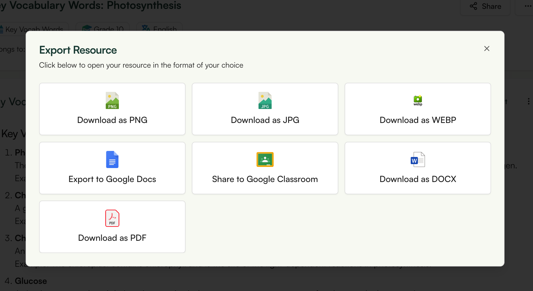 export options in Monsha