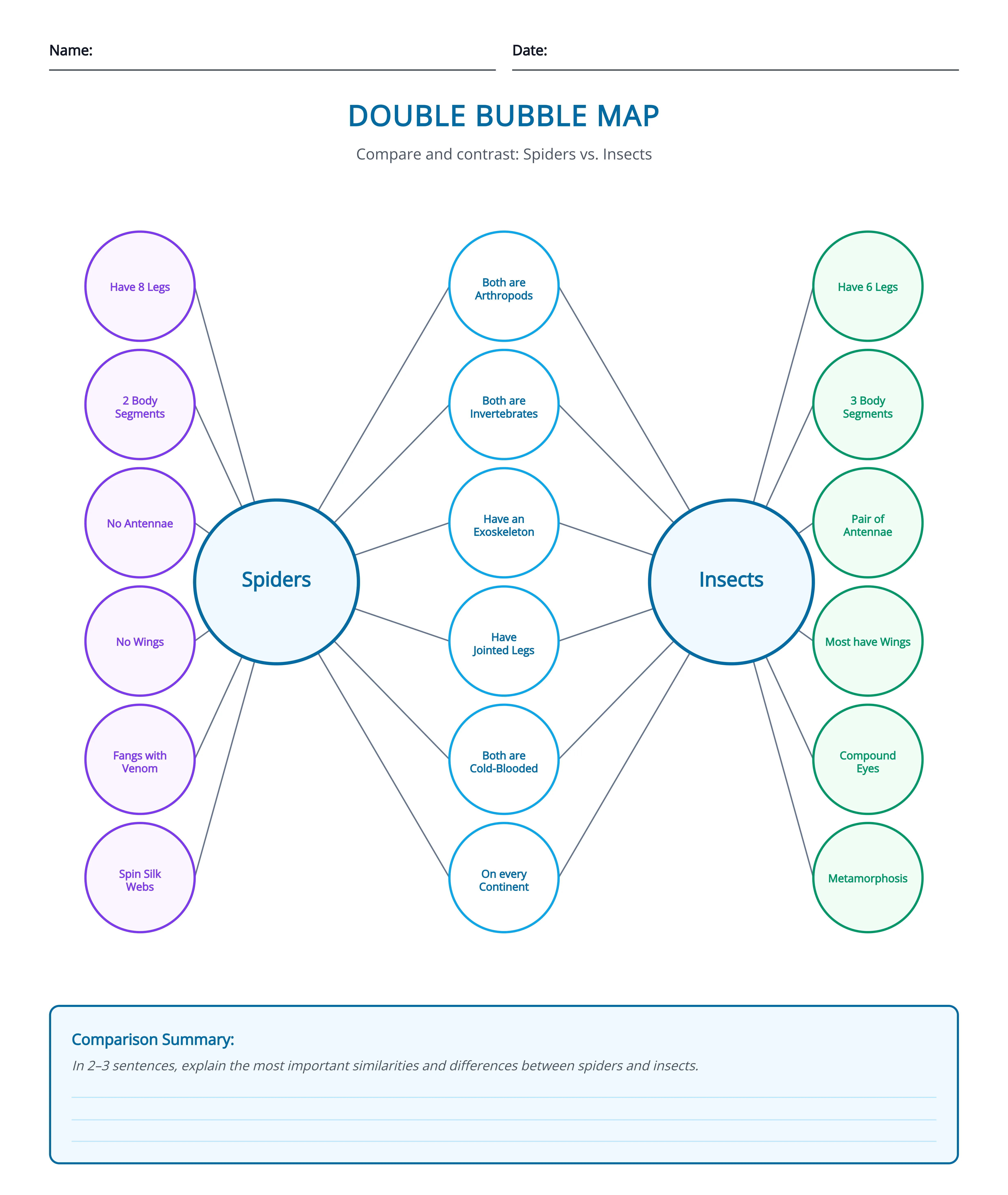 Spiders vs. Insects Double Bubble Map 2026-06-21 by Monsha