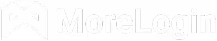 MoreLogin