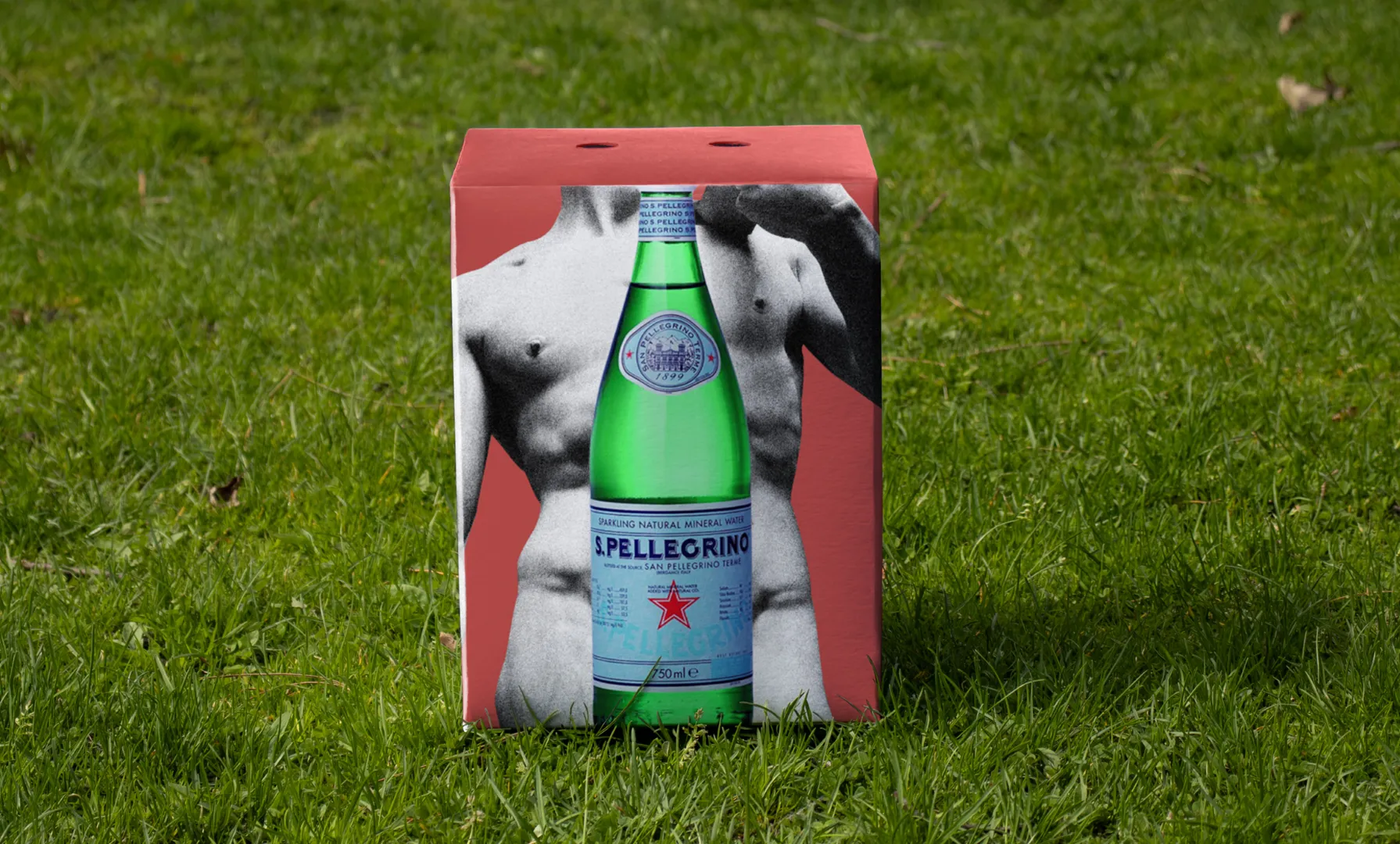 San Pellegrino case in grass