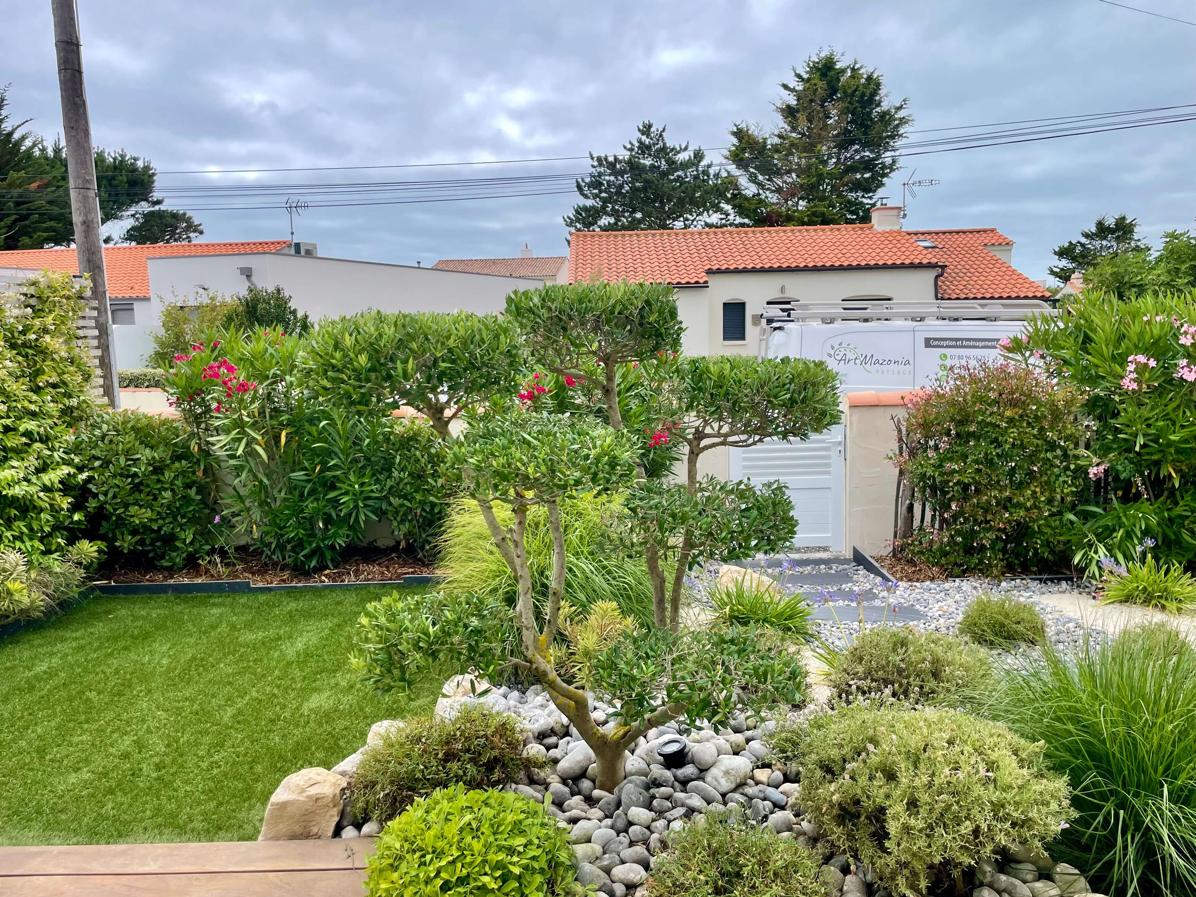 Aménagement paysager avec olivier taillé, jardin minéral et pelouse dans une cour végétalisée moderne