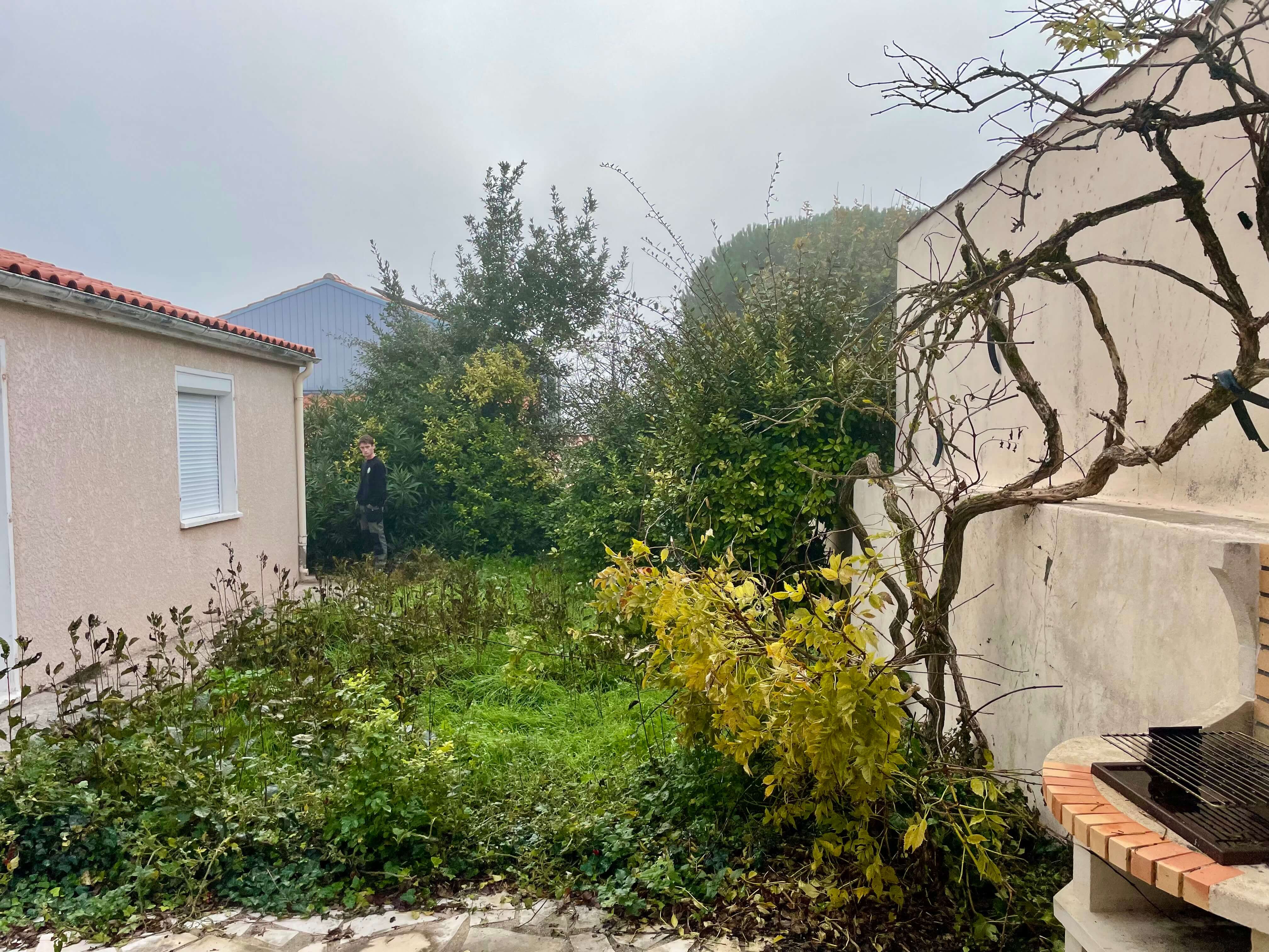 Terrain laissé à l'abandon