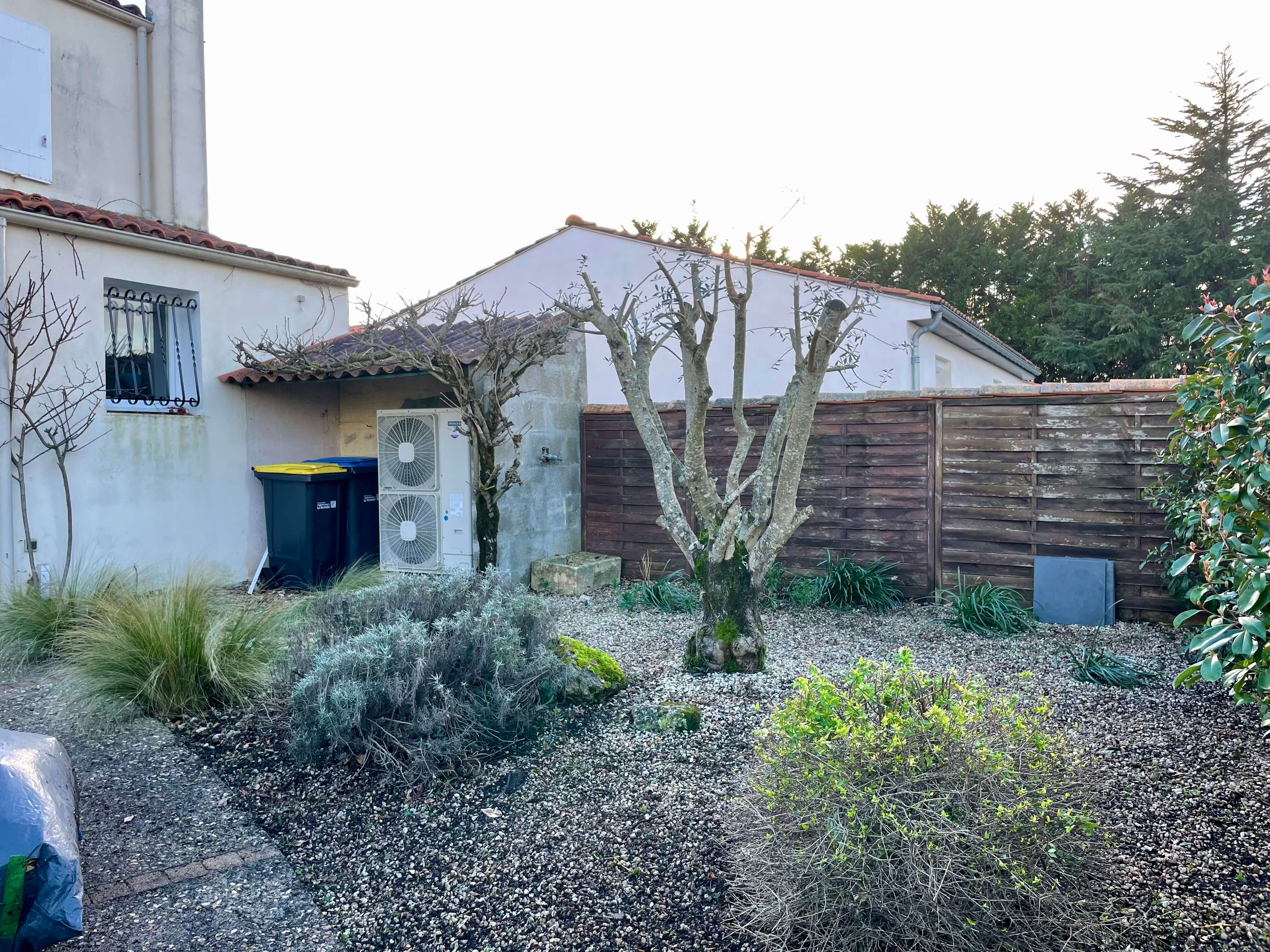 arbre après débroussaillage