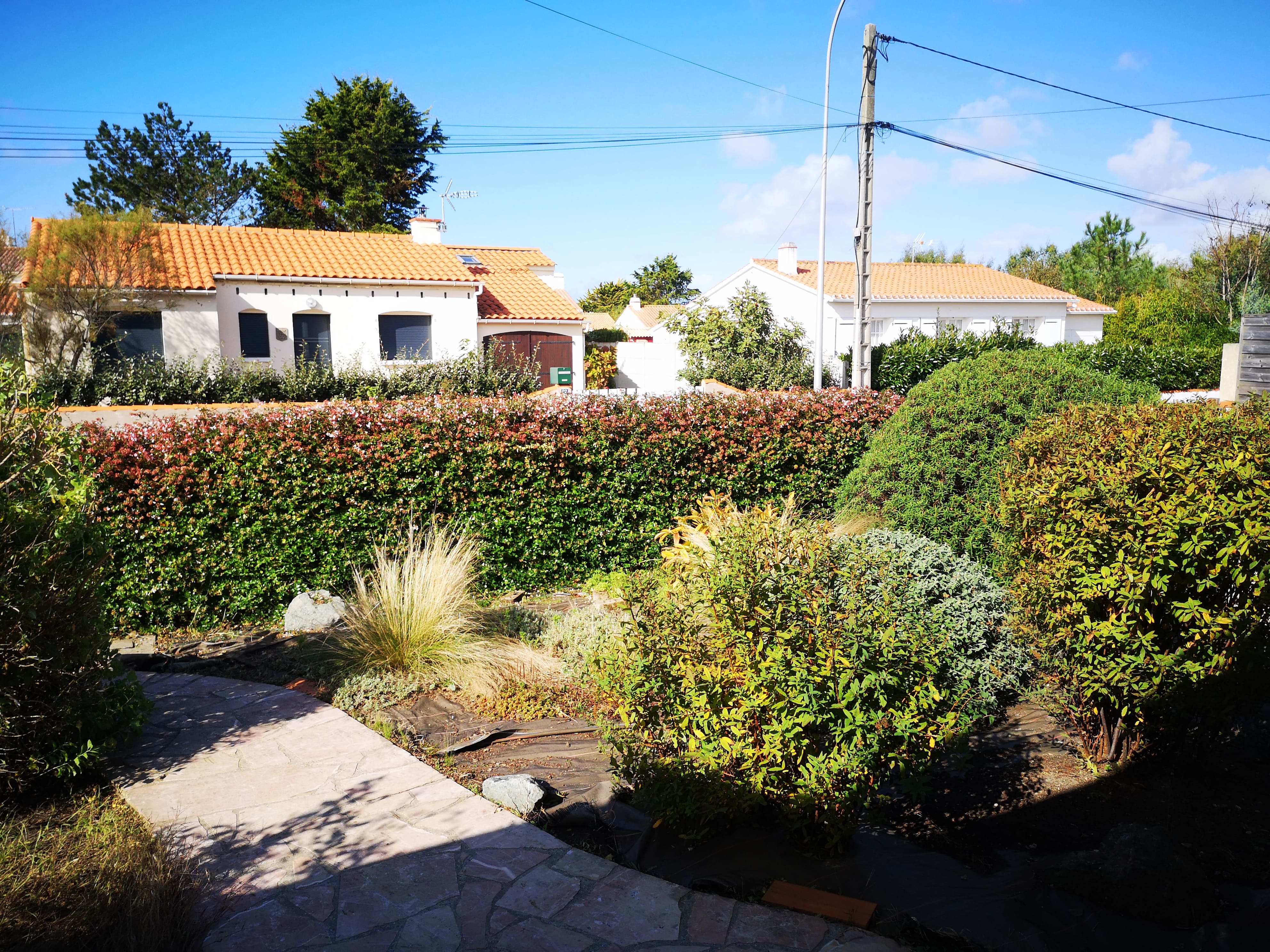 Canopée Vendéenne Végétation dense