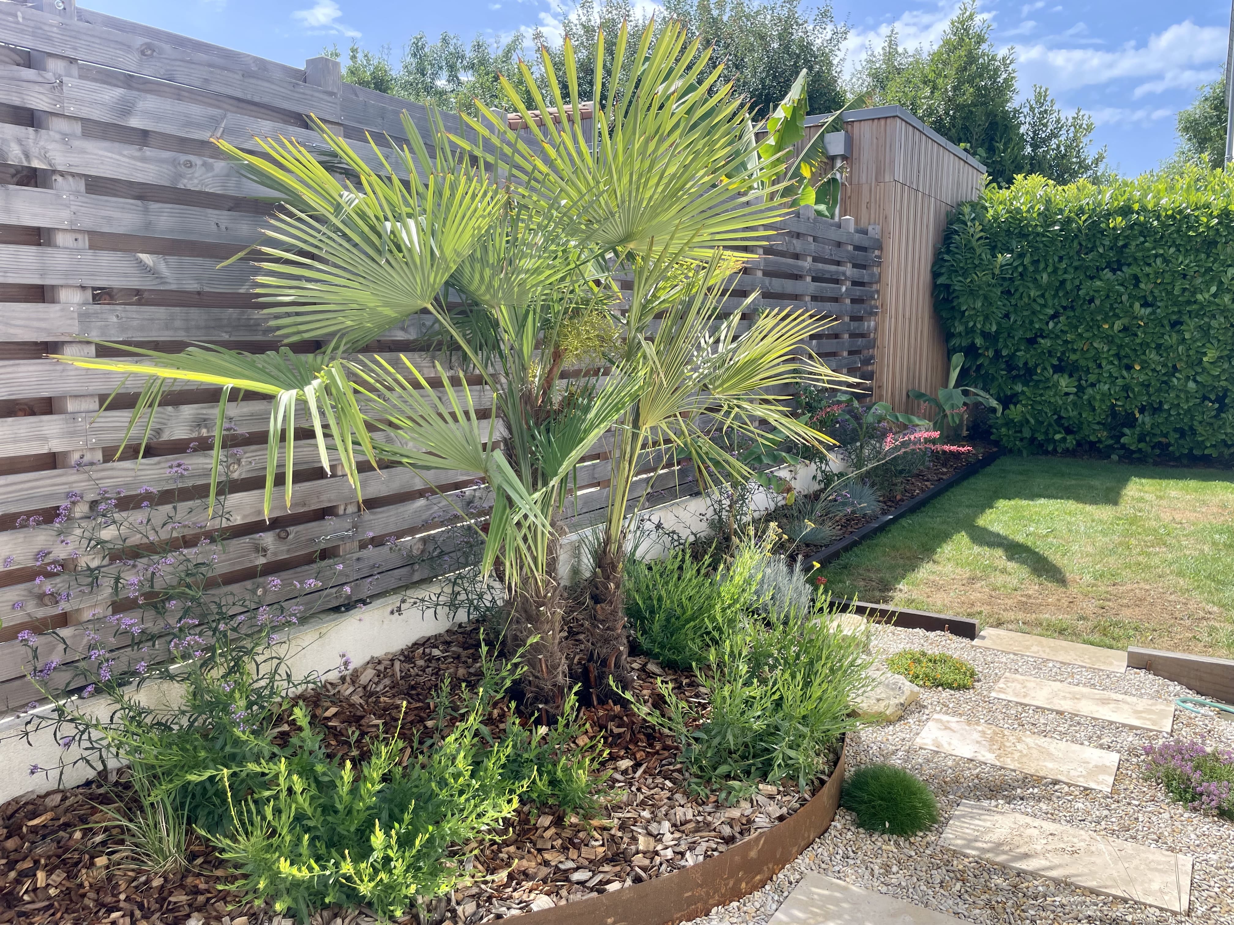 Souffle d'exotisme Palmiers et acier corten